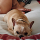 Illustration for article titled Dog, World Demand John Legend and Chrissy Teigen STFU About Their Love